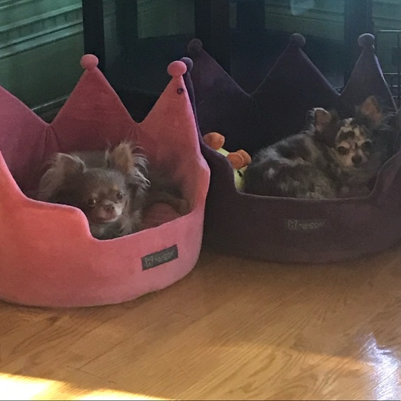 Meet your Posher, Tami - Picture 8 of 16